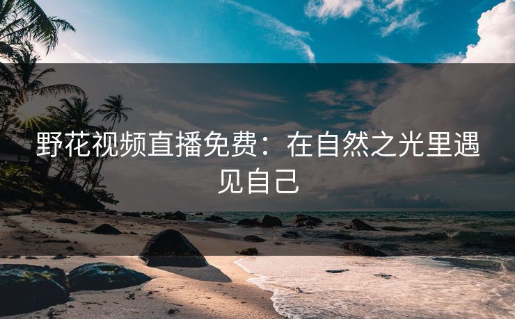 野花视频直播免费：在自然之光里遇见自己